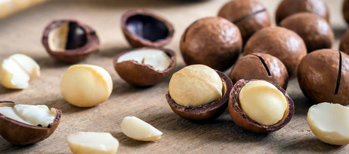 Kacang Macadamia, Kacang Termahal di Dunia